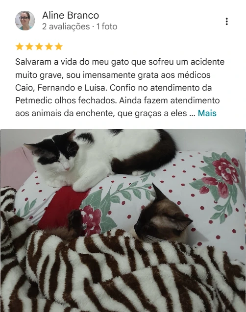 Avaliação real de tutor no Google