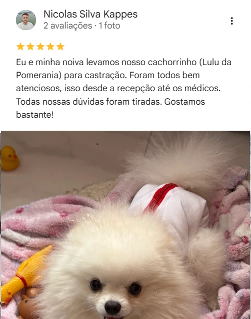 Avaliação real de tutor no Google