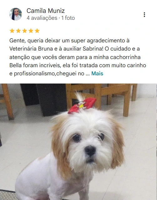 Avaliação real de tutor no Google