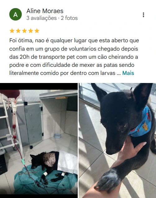 Avaliação real de tutor no Google