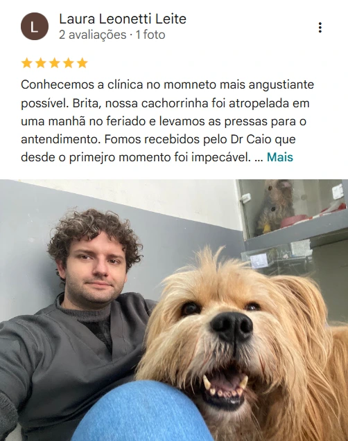 Avaliação real de tutor no Google
