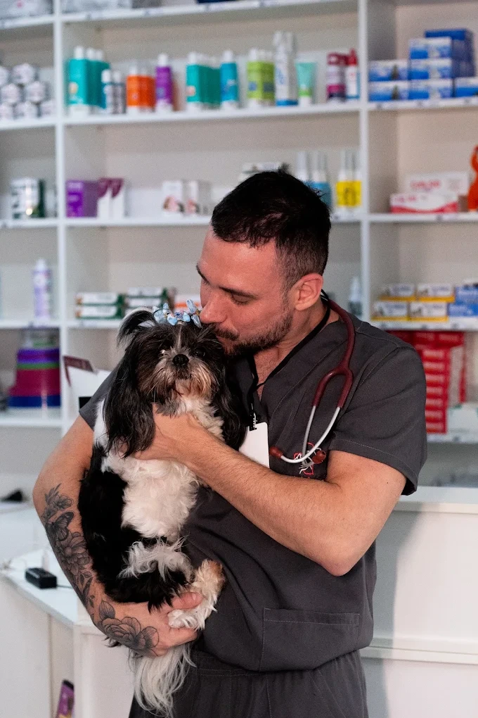 Veterinária realizando cirurgia